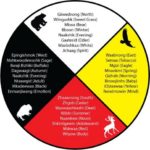 La ruota della medicina con 4 animali