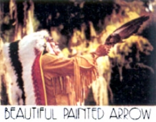 Beautiful painted arrow