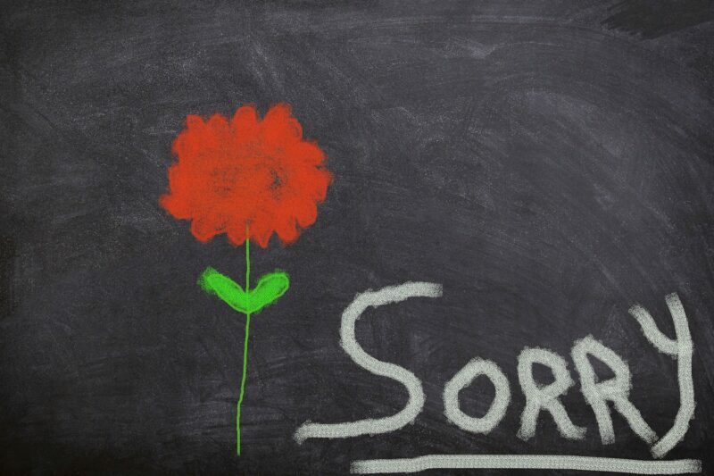 Perdono, chiedere scusa, sorry